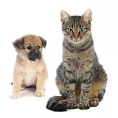 EM-Katzen- und Hundeprodukte