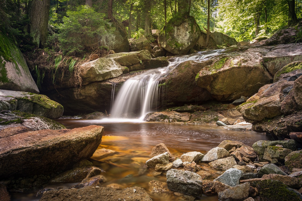 Bach im Wald